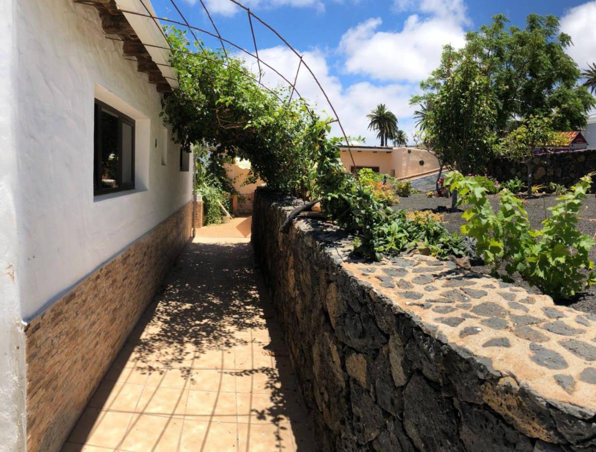 Haría Casa Palmera Y Casa Datil מראה חיצוני תמונה