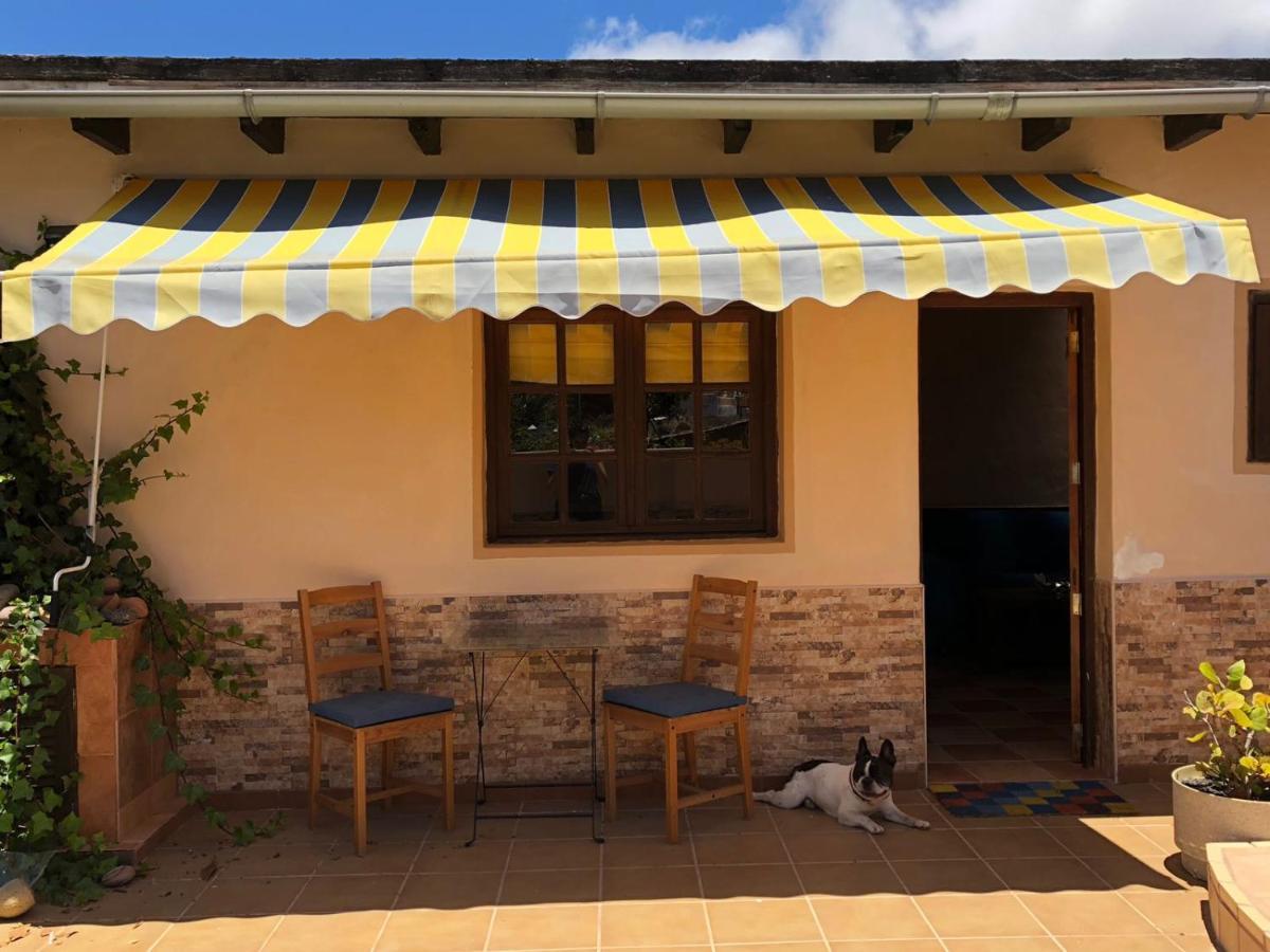Haría Casa Palmera Y Casa Datil מראה חיצוני תמונה