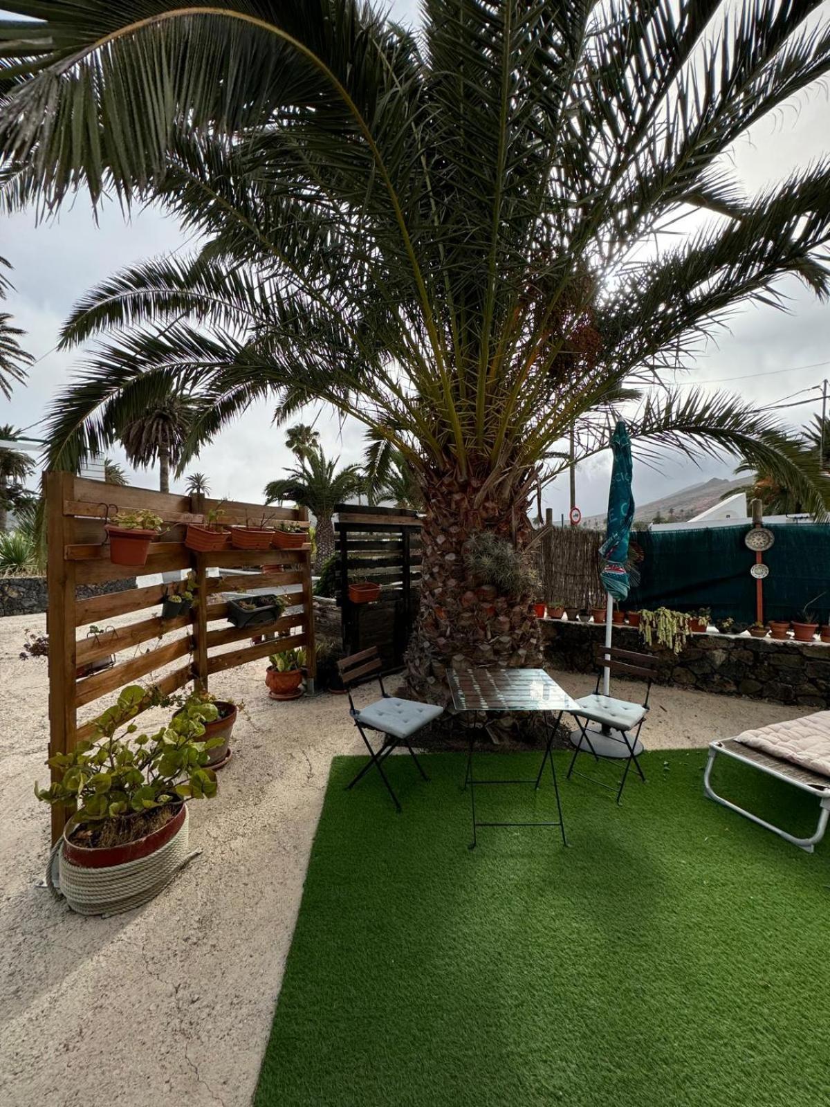 Haría Casa Palmera Y Casa Datil חדר תמונה